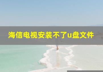 海信电视安装不了u盘文件