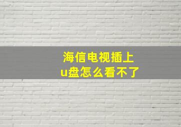 海信电视插上u盘怎么看不了