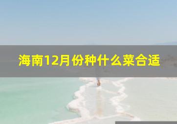 海南12月份种什么菜合适