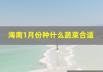 海南1月份种什么蔬菜合适