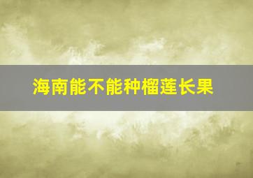 海南能不能种榴莲长果