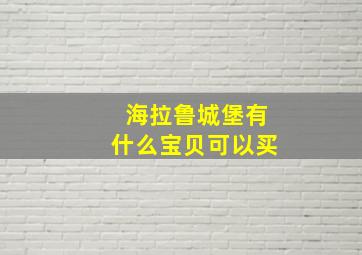 海拉鲁城堡有什么宝贝可以买