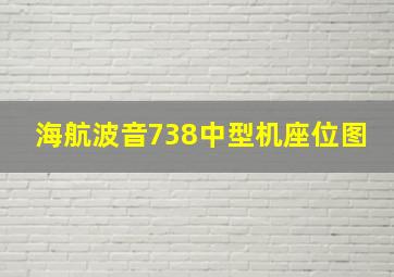 海航波音738中型机座位图