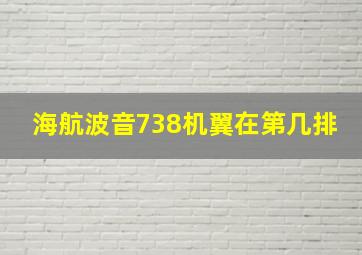 海航波音738机翼在第几排