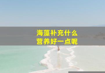 海藻补充什么营养好一点呢