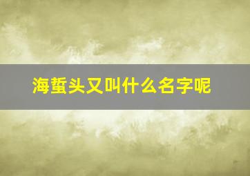 海蜇头又叫什么名字呢