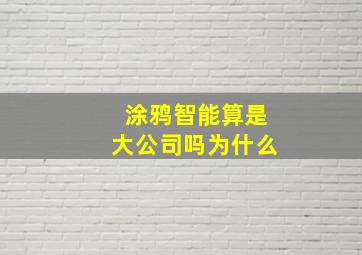 涂鸦智能算是大公司吗为什么