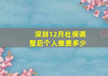 深圳12月社保调整后个人缴费多少