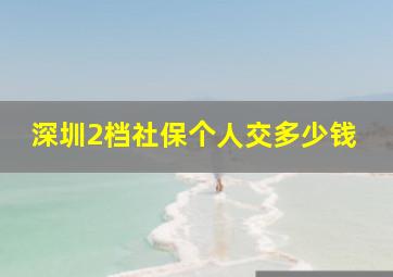 深圳2档社保个人交多少钱