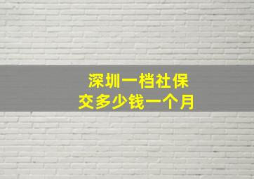 深圳一档社保交多少钱一个月