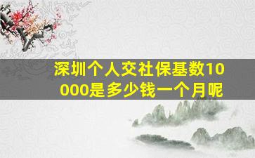 深圳个人交社保基数10000是多少钱一个月呢