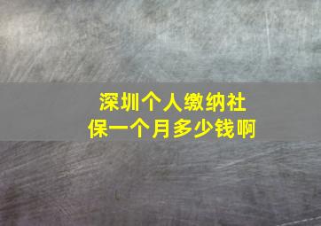 深圳个人缴纳社保一个月多少钱啊