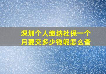 深圳个人缴纳社保一个月要交多少钱呢怎么查