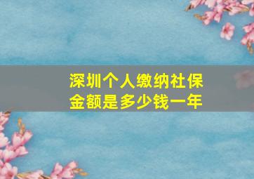 深圳个人缴纳社保金额是多少钱一年