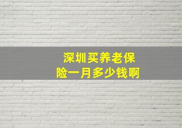 深圳买养老保险一月多少钱啊