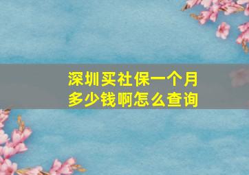 深圳买社保一个月多少钱啊怎么查询