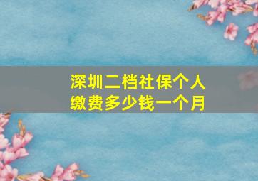 深圳二档社保个人缴费多少钱一个月