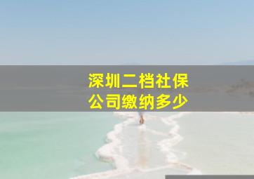 深圳二档社保公司缴纳多少