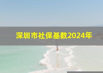 深圳市社保基数2024年