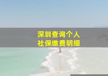 深圳查询个人社保缴费明细