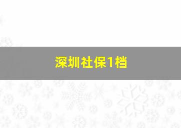 深圳社保1档