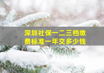 深圳社保一二三档缴费标准一年交多少钱