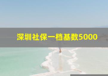 深圳社保一档基数5000