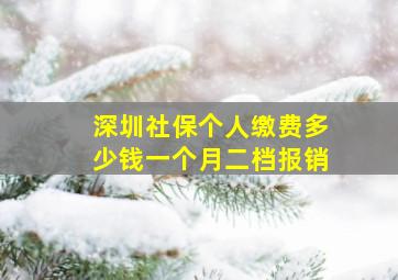 深圳社保个人缴费多少钱一个月二档报销