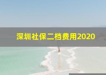 深圳社保二档费用2020