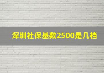 深圳社保基数2500是几档