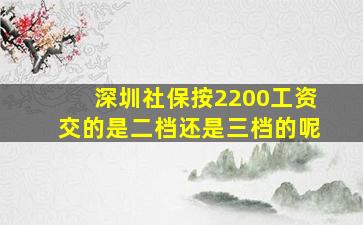 深圳社保按2200工资交的是二档还是三档的呢