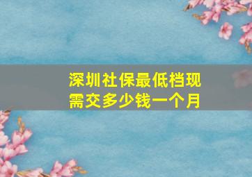 深圳社保最低档现需交多少钱一个月