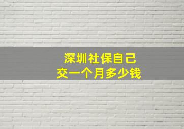 深圳社保自己交一个月多少钱