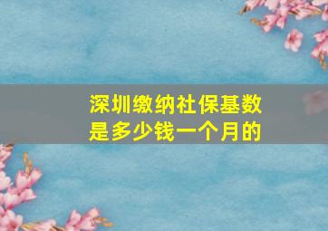 深圳缴纳社保基数是多少钱一个月的