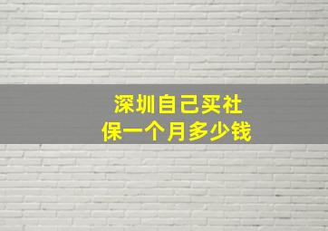 深圳自己买社保一个月多少钱