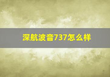 深航波音737怎么样