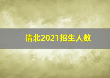 清北2021招生人数