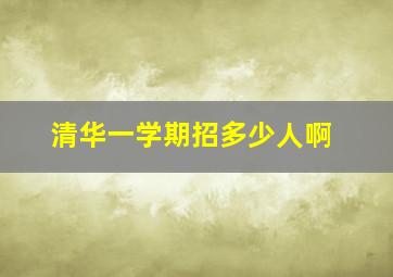 清华一学期招多少人啊