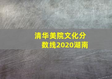 清华美院文化分数线2020湖南