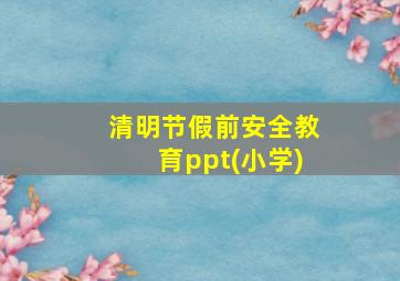 清明节假前安全教育ppt(小学)