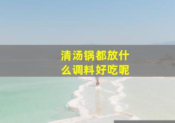 清汤锅都放什么调料好吃呢