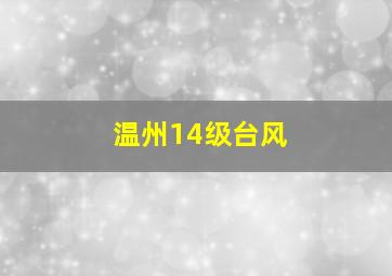 温州14级台风