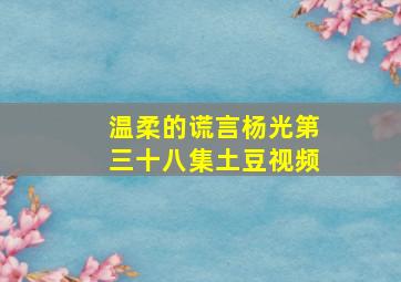 温柔的谎言杨光第三十八集土豆视频