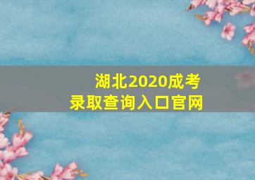 湖北2020成考录取查询入口官网