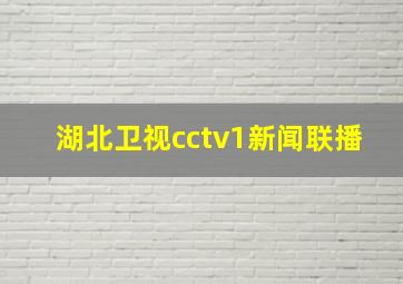 湖北卫视cctv1新闻联播