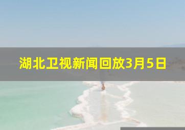 湖北卫视新闻回放3月5日