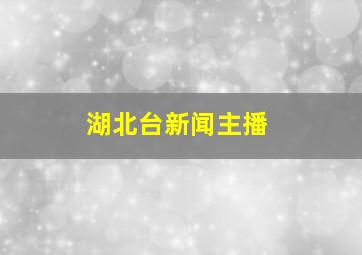 湖北台新闻主播