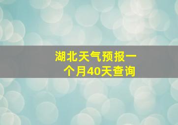 湖北天气预报一个月40天查询