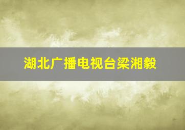 湖北广播电视台梁湘毅