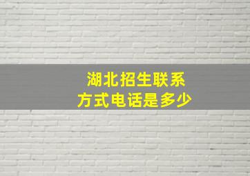 湖北招生联系方式电话是多少